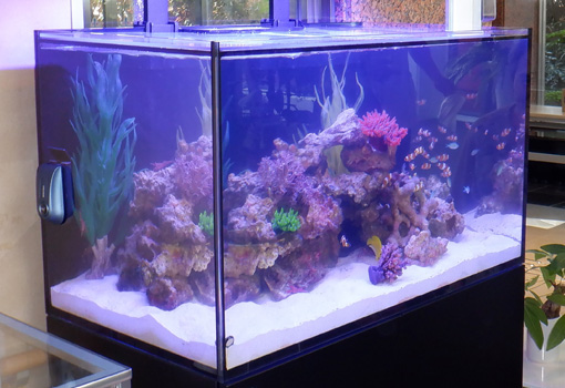 アクアリウム